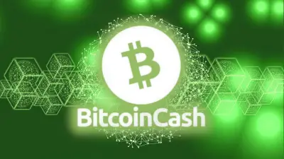 What is Bitcoin Cash?