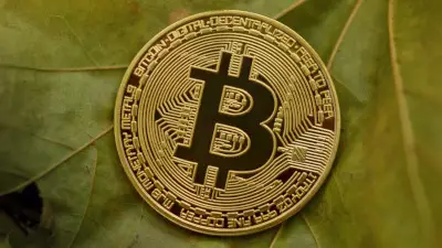 Bitcoin Environmental Impact