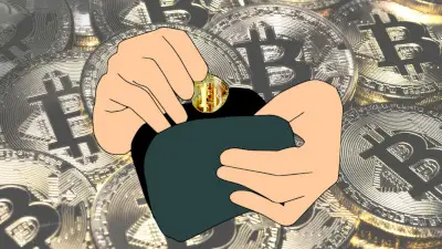 What is Bitcoin Wallet?