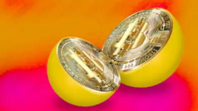 What is Bitcoin Halving?